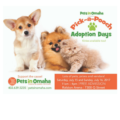 omaha puppies puppy adoption omaha photo omaha puppies puppy adoption omaha photo