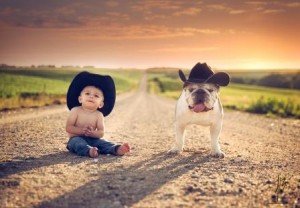 cowboy dog