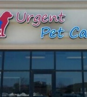 Pet Partner Spotlight Urgent Pet Care Pets In Omaha