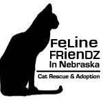 Feline Friendz in Nebraska