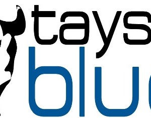 Taysia store blue husky