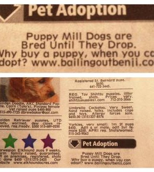 A Different Kind Of Classified Ad In Yesterday S Des Moines Register Pets In Omaha