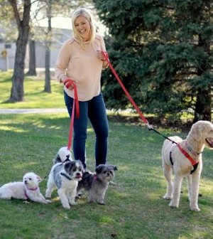 working as a dog walker