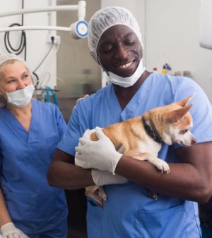 google veterinarian neuter pets